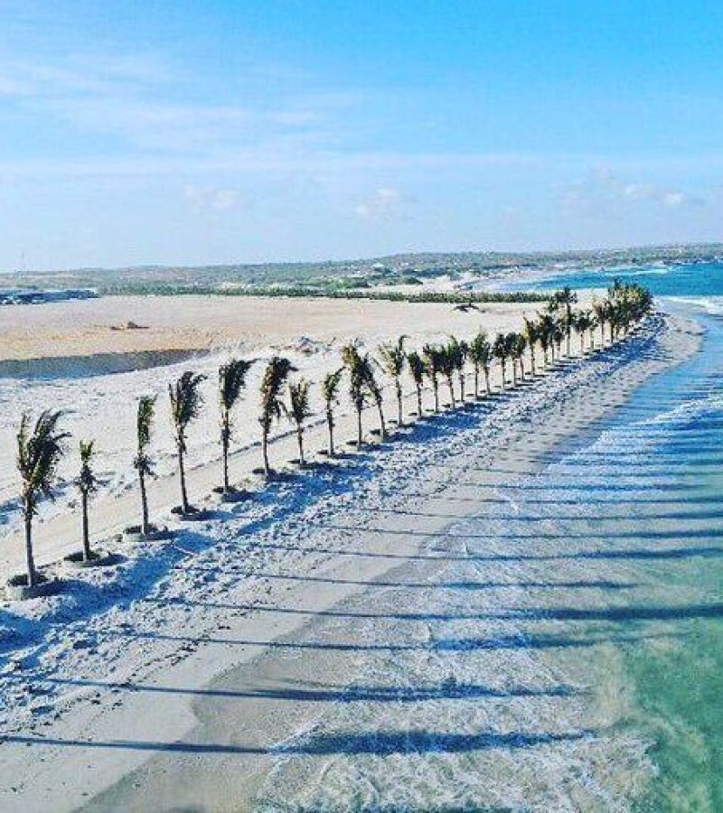 626594e4d95f922d73ea90d8baaadf53